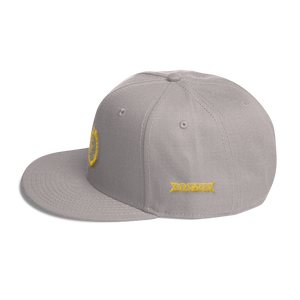 EXCLUSIVE CELTICS FANS : BOSTON CHRONIC gold Snapback Hat
